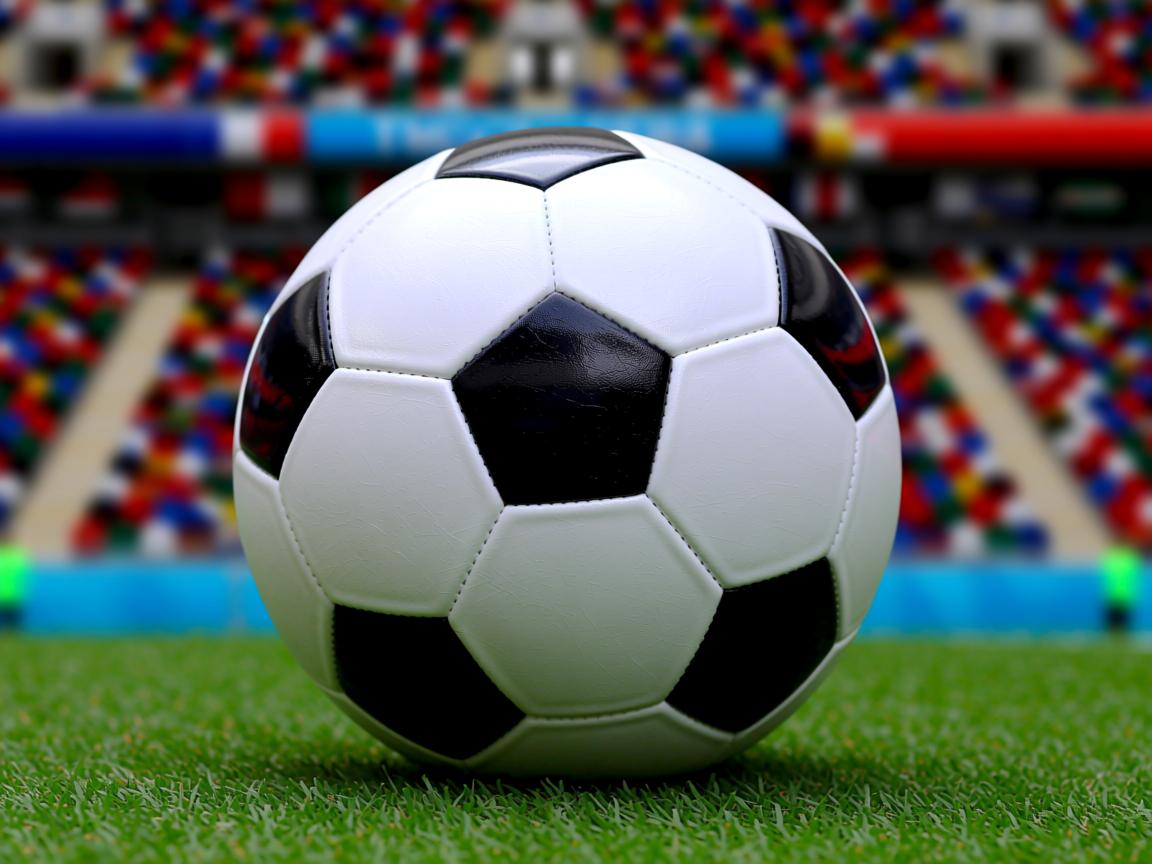 开云体育app在线-CBA球迷文化节开幕 推动篮球氛围建设,cba篮球宣传语 第3张